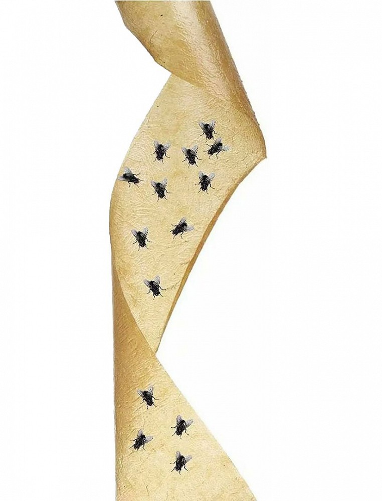 Kärbselint rullis 80 cm, 4 tk