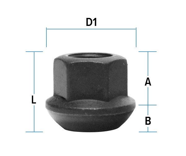 Mutter PKM12×1.50/20/19/ (pall, R13, AV, P20, CH19)