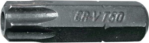 8MM(5/16") OTSIK TORX AVAGA LÜHIKE TH60 TRIUMF