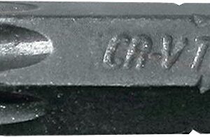 8MM(5/16") OTSIK TORX AVAGA LÜHIKE TH55 TRIUMF
