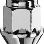 MUTTER M12X1.25/30/19 (KINNINE. P30. CH19) INOX PEA