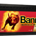 BANNER AKU BUFFALO BULL SHD PRO 145AH 514X189X220 + - 800A