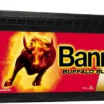 BANNER AKU BUFFALO BULL EFB 150AH 514X189X220 + - 850A